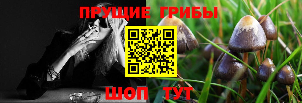 Псилоцибиновые грибы прущие грибы  Вход с VPN  Дивногорск  купить  цена  Псилоцибиновые грибы MAGIC MUSHROOMS 